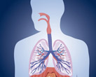 Asthma, Atemwegserkrankungen