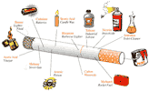 Inhaltsstoffe Zigarettenrauch